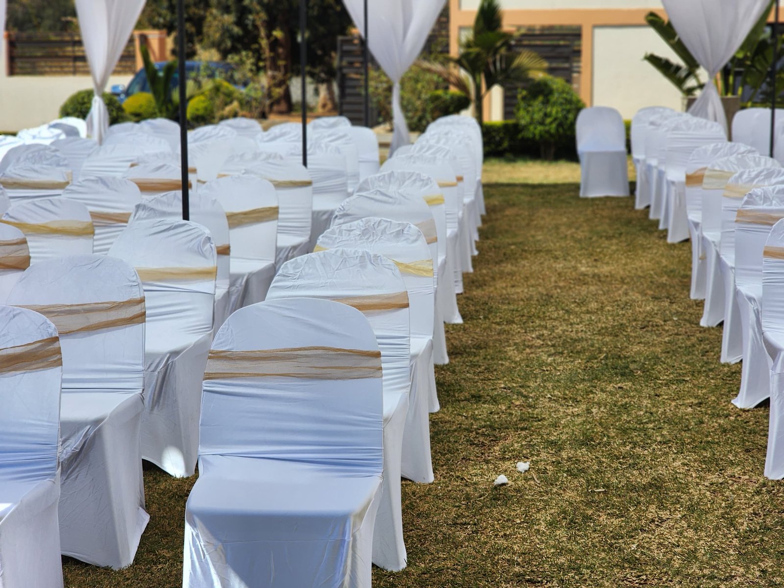 Premium Event Chairs